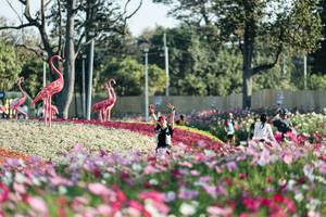 BIB: 
                            <button type="button" onclick="openModal(27344248)" class="btn btn-primary btn-sm float-right btn-popup" data-toggle="modal" data-target=".modal-high-quality">
                        <i class="fas fa-shopping-cart"></i> Add to Cart
                    </button>
                                            <button type="button" onclick="isThisMe(27344248, true)" class="btn btn-success btn-sm float-right btn-popup btn-isme hidden" data-toggle="tooltip" data-placement="bottom" title="นี่คือรูปของคุณใช่ไหม คลิกที่นี่เพื่อเอาเข้าอัลบั้ม">
                        <i class="fas fa-plus"></i> Add to album
                    </button>
                    <button type="button" onclick="isThisMe(27344248, false)" class="btn btn-warning btn-sm float-right btn-popup btn-isnotme hidden">
                        <i class="fas fa-ban"></i> Remove from album
                    </button>